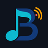 undefined Best Net Radio - Christmas Country