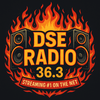 undefined DSE Radio