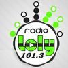 undefined Radio Loly 101.3