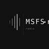 undefined MSFS Radio