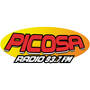 undefined Radio Picosa