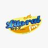 undefined Radio Litoral FM 104.9 FM