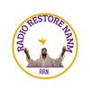 undefined Radio Restore Nanm