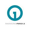 undefined Radio Uno FM 101.3