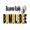 undefined Радио BumbleBee - Radio BumbleBee