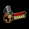 undefined Radio Monka