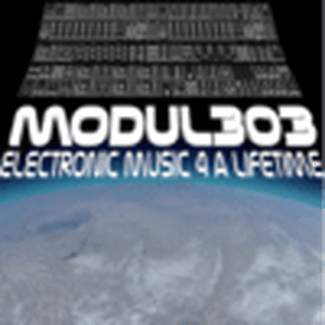 Modul303