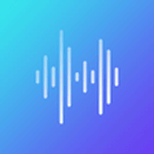 Radio Record Remix