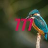 undefined 777