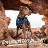 undefined Adventure Dog Podcast