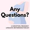 undefined Any Questions? A Podcast About Conception, Pregnancy and Realistic Motherhood