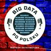 undefined Big Data Po Polsku