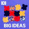 undefined Big Ideas