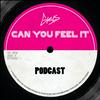 undefined Can You Feel It - The Dutch History of House music