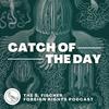 undefined Catch of the Day - The S. Fischer Foreign Rights Podcast
