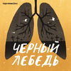 undefined Черный лебедь