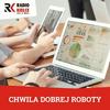 undefined CHWILA DOBREJ ROBOTY