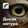 undefined Дикая натура