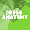 undefined Gross Anatomy