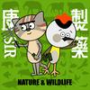 undefined 康Sir製藥 Nature &amp; Wildlife
