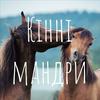 undefined Кінні мандри (люди і коні)