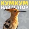 undefined Кумкум. Навигатор