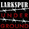 undefined Larkspur Underground