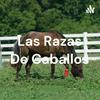 undefined Las Razas De Caballos