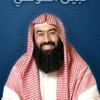 undefined السيرة النوبية - نبيل العوضي