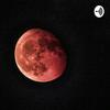 undefined Moonlight