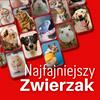 undefined Najfajniejszy Zwierzak