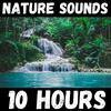 undefined Nature Sounds - 10 Hours