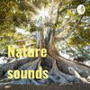 undefined Nature sounds