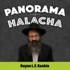 undefined Panorama of Halacha