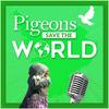 undefined Pigeons Save The World