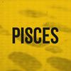 undefined PISCES