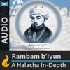 undefined In-Depth Rambam Insights