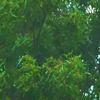 undefined Relaxing sleep sounds