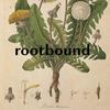 undefined rootbound