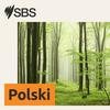 undefined SBS Polish - SBS po polsku