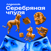 undefined Серебряная чпуля