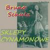 undefined Sklepy cynamonowe by Bruno Schulz (1892 - 1942)