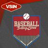 undefined The Baseball Betting Show with Greg Peterson