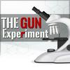 undefined The Gun Experiment