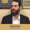 undefined The Sicha, Rabbi Fishel Oster