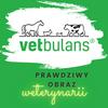undefined vetbulans