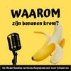 undefined Waarom zijn bananen krom?