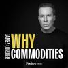 undefined Why Commodities with James Cordier