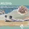 undefined Жизнь продолжается