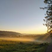 Podcast Alkoholizm- pijane myślenie